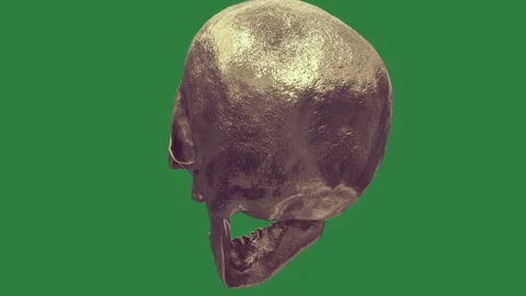 A skull isolated on green screen background 動画素材 336955101