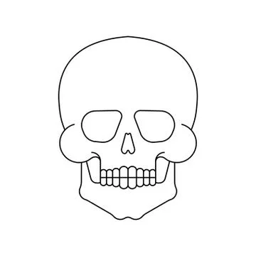 Skull isolated. Skeleton Head Vector Illustration. Scary symbol pirate and de 스톡 일러스트