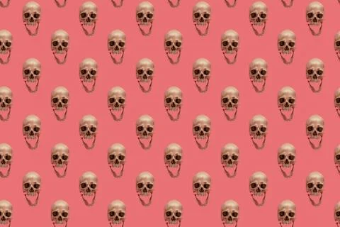 Skull with jaw on a pink seamless pattern. Stock Photos