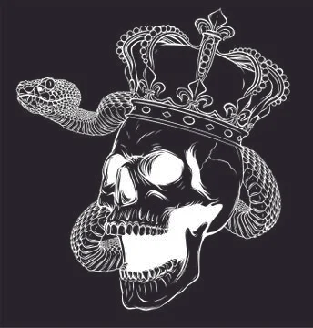 Skull king with snake in black background vector illustration design 스톡 일러스트