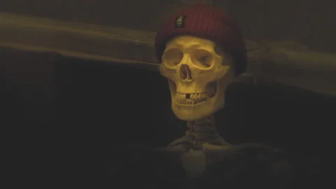 A skull in a knitted hat. Stock Footage 218609820