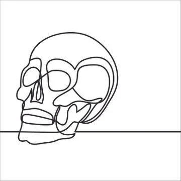 Skull line icon, outline vector sign, linear style pictogram isolated on white. Stock-Illustration