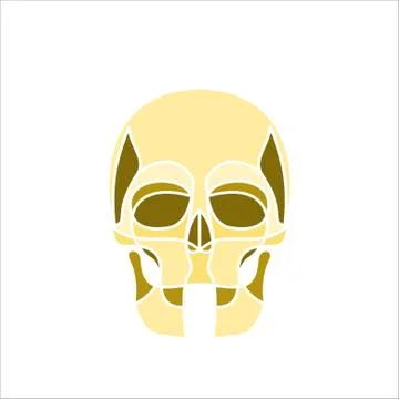 Skull line icon, outline vector sign, linear style pictogram isolated on white. Stock-Illustration