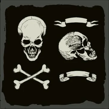 Skull logo Stock Illustration