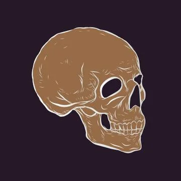 Skull logo Stock Illustration