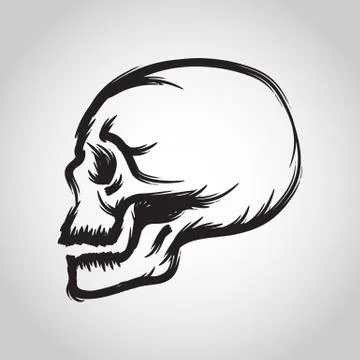 Skull logo Stock Illustration