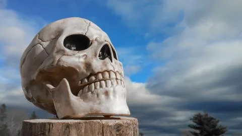 Skull Looking Into The Sky Stock Photos
