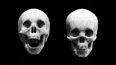 Skull in Low Poly Style on Black background. 3D Rendering イラスト素材