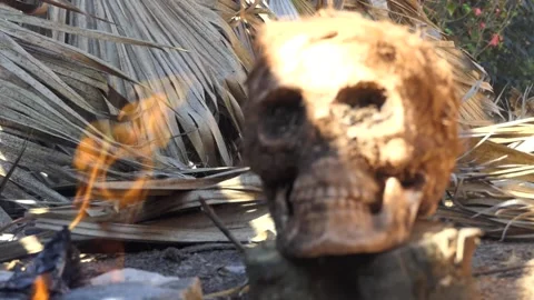 Skull man dug up around the fire 2 Video stock 163746013