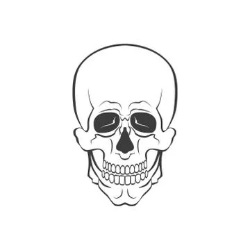 Skull modern vector illustration or sign Stock Illustration