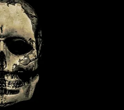 Skull Monster Horror Background Stock Illustration