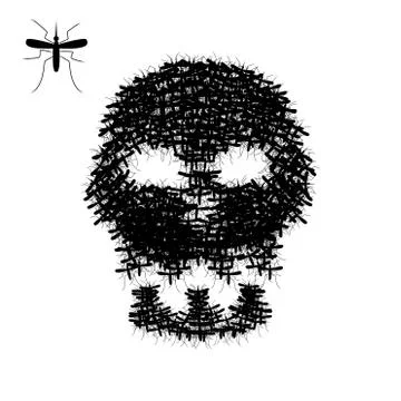 Skull of mosquito isolated on white, vector Stock Illustration