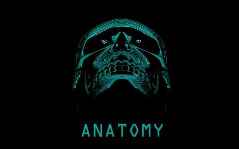Skull neon Stock Illustration
