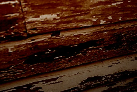 Skull-NTSC 스톡 동영상 328416