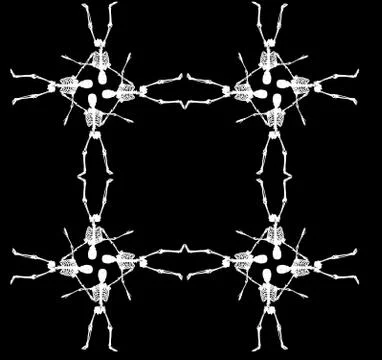 Skull ornamental pattern vector art Illustrazione stock