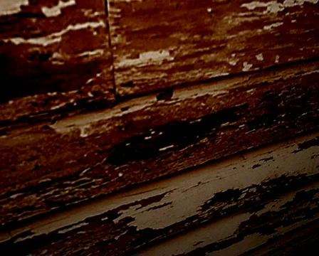 Skull-Pal 스톡 동영상 328404