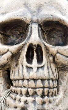 Skull 스톡 사진