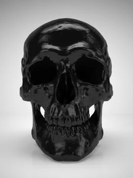 Skull Stock Photos
