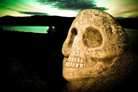 Skull Foto stock