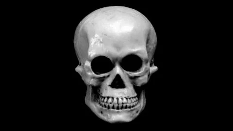 Skull Stock Photos