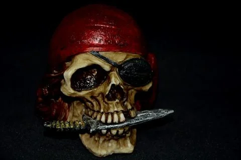 The Skull 스톡 사진