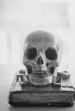 Skull Stock Photos