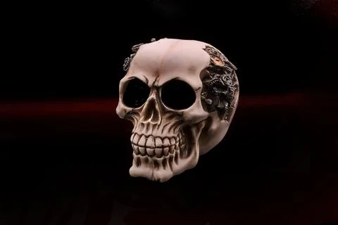Skull Stock Photos