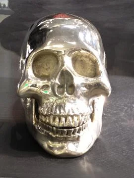 Skull Stock Photos