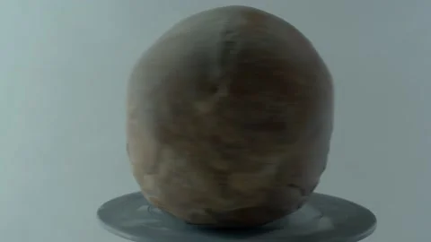 Skull On Plain Background Moving Shot Stock Footage 151656559