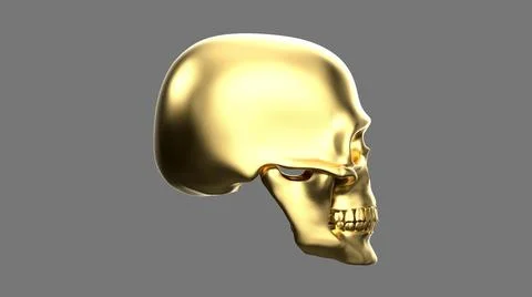 Skull in profile isolated on a grey background Stock Illustration