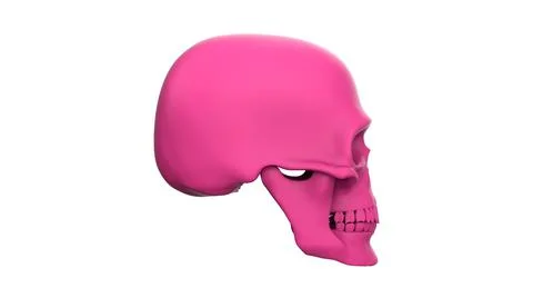 Skull in profile isolated on a white background Stock Illustration