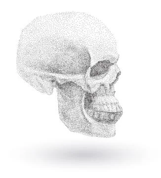 Skull in profile on white background.. Vector simple black points on white ba Stock Illustration