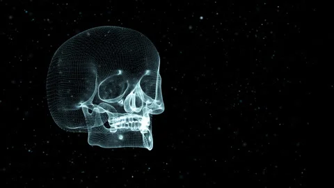 Skull Projection Video stock 247504640