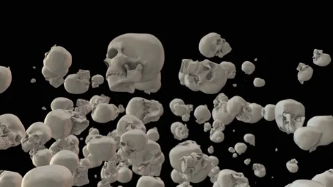 Skull Rain Vidéo 146733613