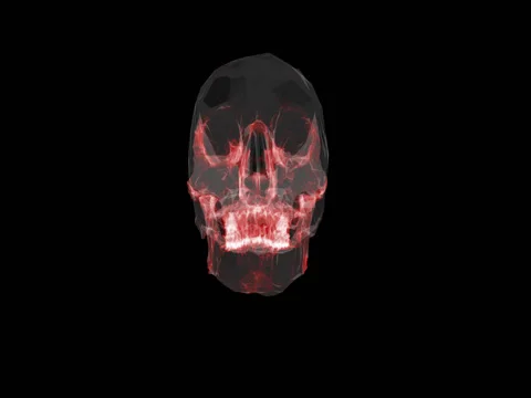 Skull with red lines animated.  Video stock 71646352
