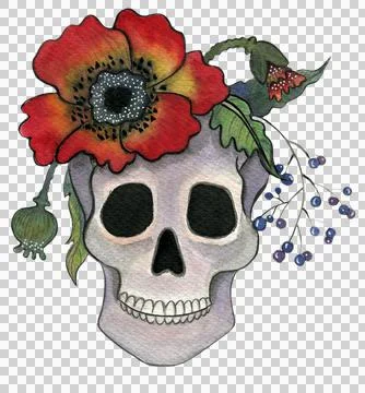 Skull with red poppies Stock Illustration
