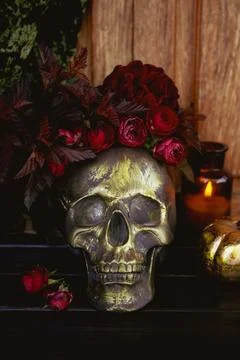 Skull with red roses on dark table, Halloween concept card Stock Photos