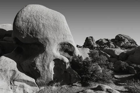 Skull Rock Fotos de archivo