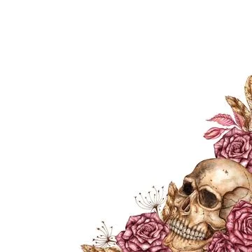 Skull Roses Dry Branches Frame Corner Square Watercolor Stock Illustration