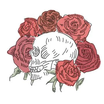 Skull with roses vector doodle. Vector illustration. Stock Illustration