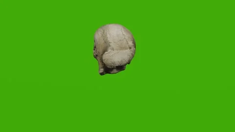 The skull rotates on a green background Stock Footage 279079355