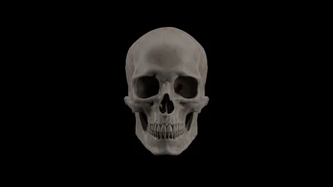 SKULL ROTATION WITH BLACK BACKGROUND Stock Footage