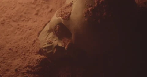 Skull in sand cave with fire Stock Footage 147177077