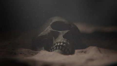 A skull in sand underwater Stock Footage 253637548