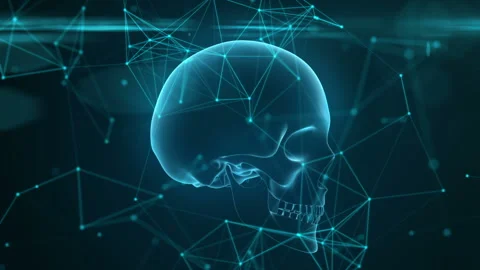 Skull scan. 3D animation of rotating human skull in endless loop. connected dots Видео 96264941