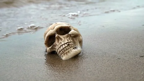 Skull on the seashore, the river is washed by waves Video stock 77791884