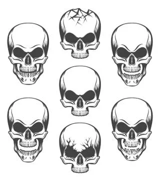 Skull set Stock Illustration