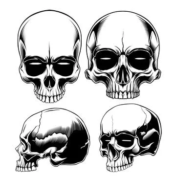 Skull set Stock Illustration