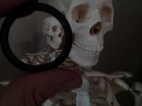Skull of skeleton seen through concave lens Stock Photos