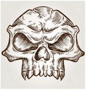 Skull sketch design Stockillustratie